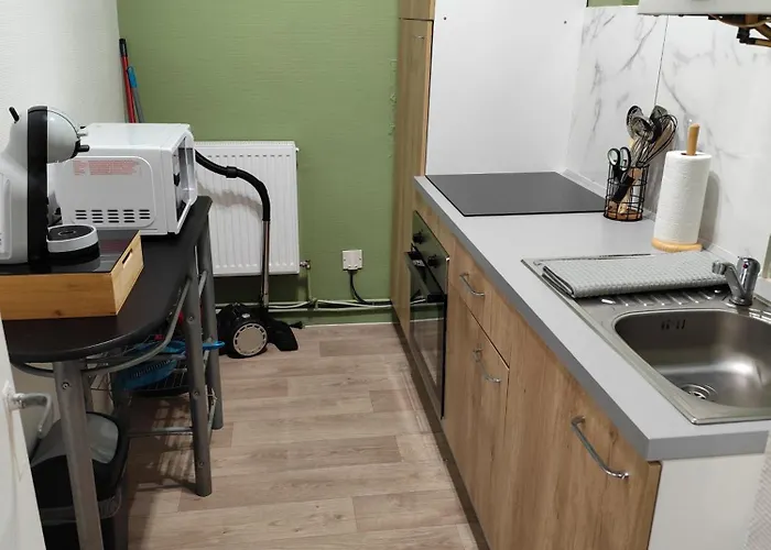 L'escale Saumuroise Appartement *